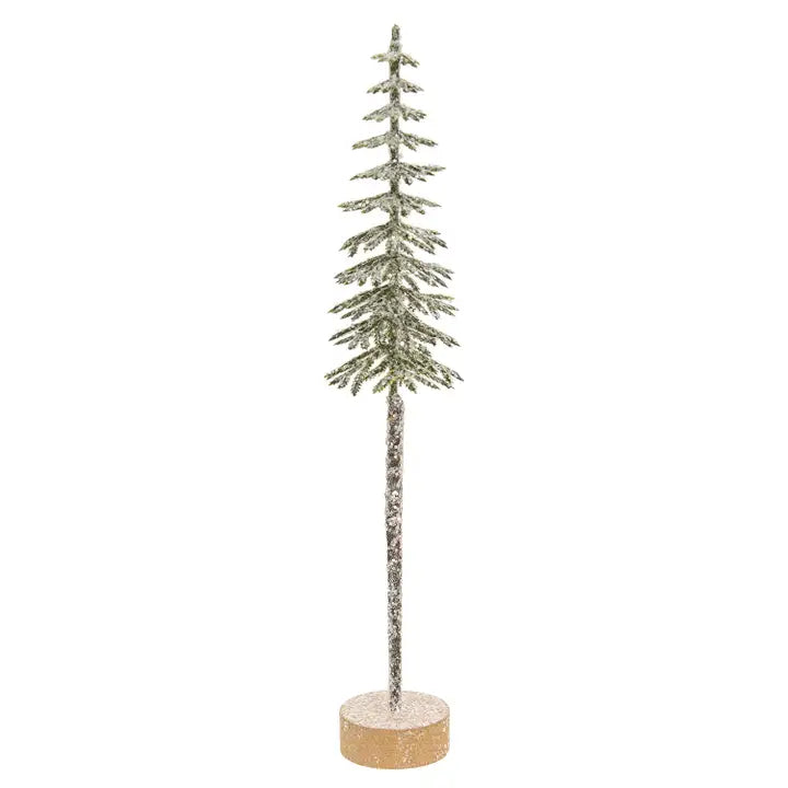 Gleaming Shortleaf Pine Tabletop Tree