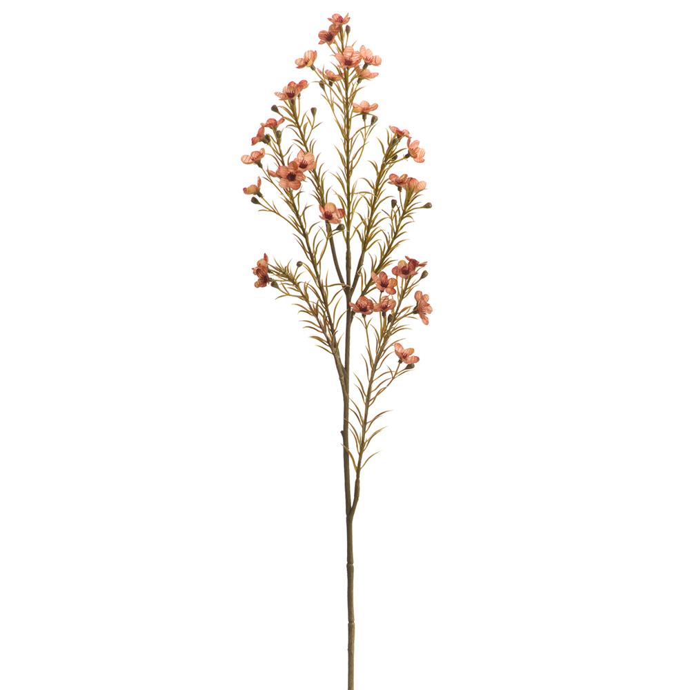23.5" Salmon Waxflower Spray