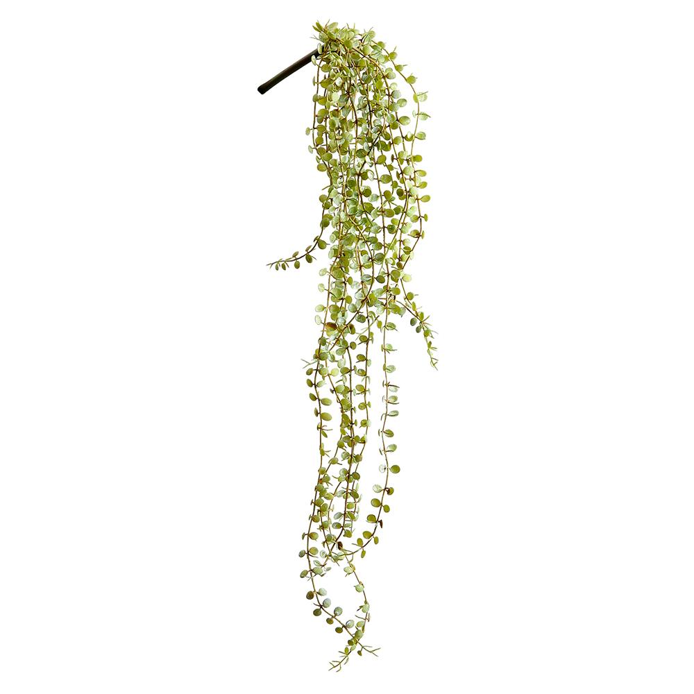 Button Leaf Hanging Bush