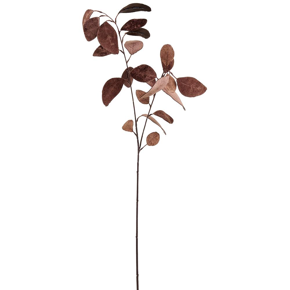 31" Brown Velvet Eucalyptus Leaf Spray