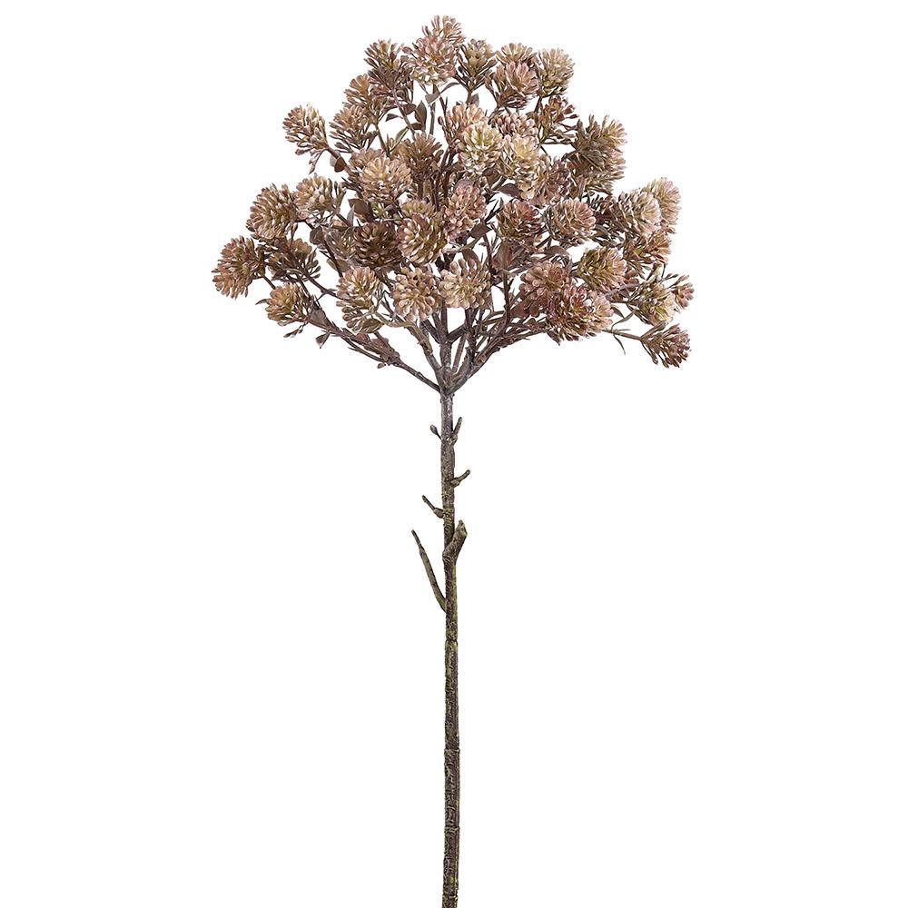 20.5" Brown & Whitewashed Sedum Spray