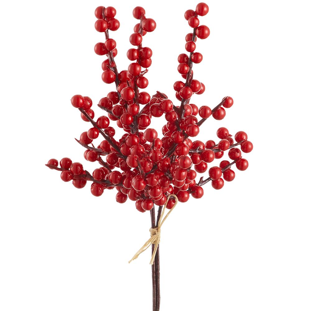12" Berry Bundle