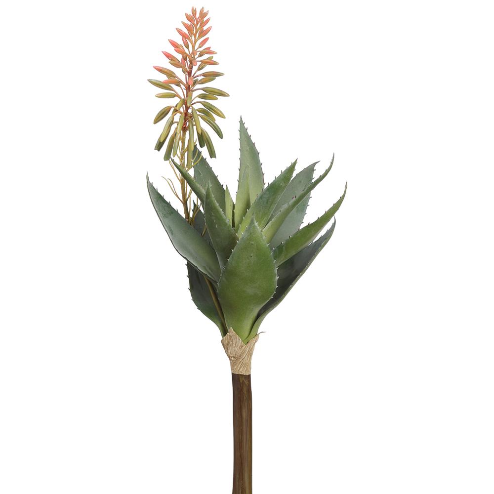 15" Blooming Agave Pick