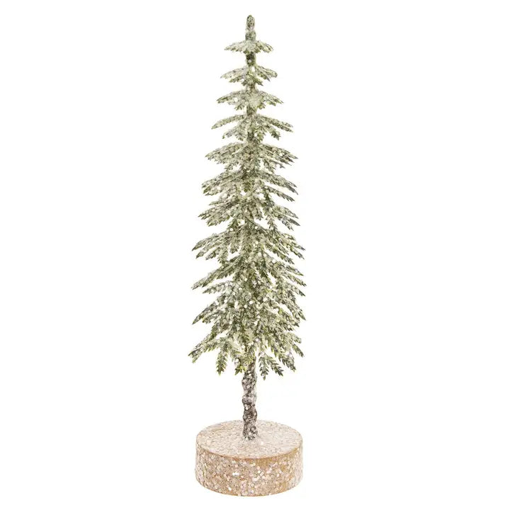 Gleaming Shortleaf Pine Tabletop Tree
