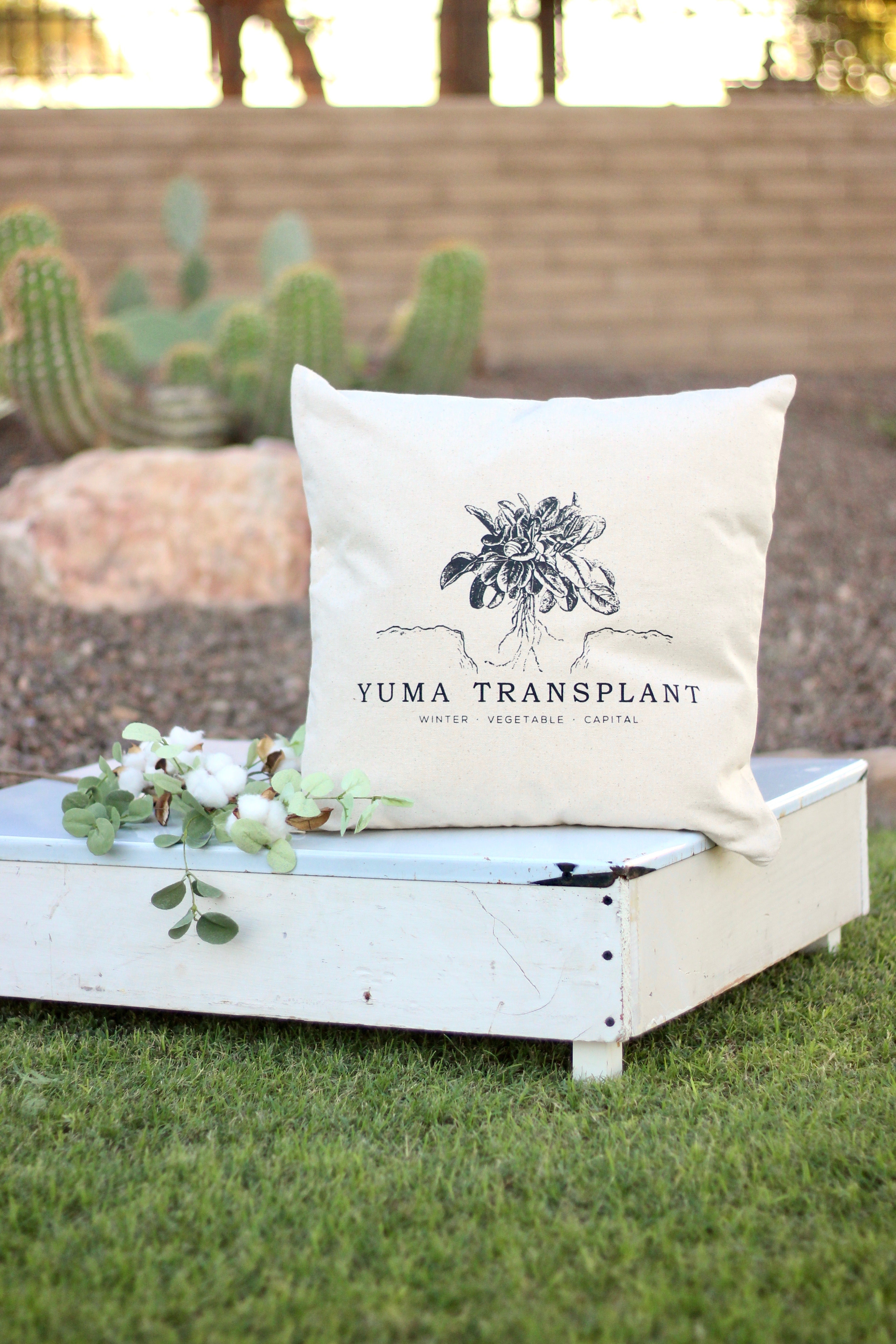 Yuma Transplant Pillow